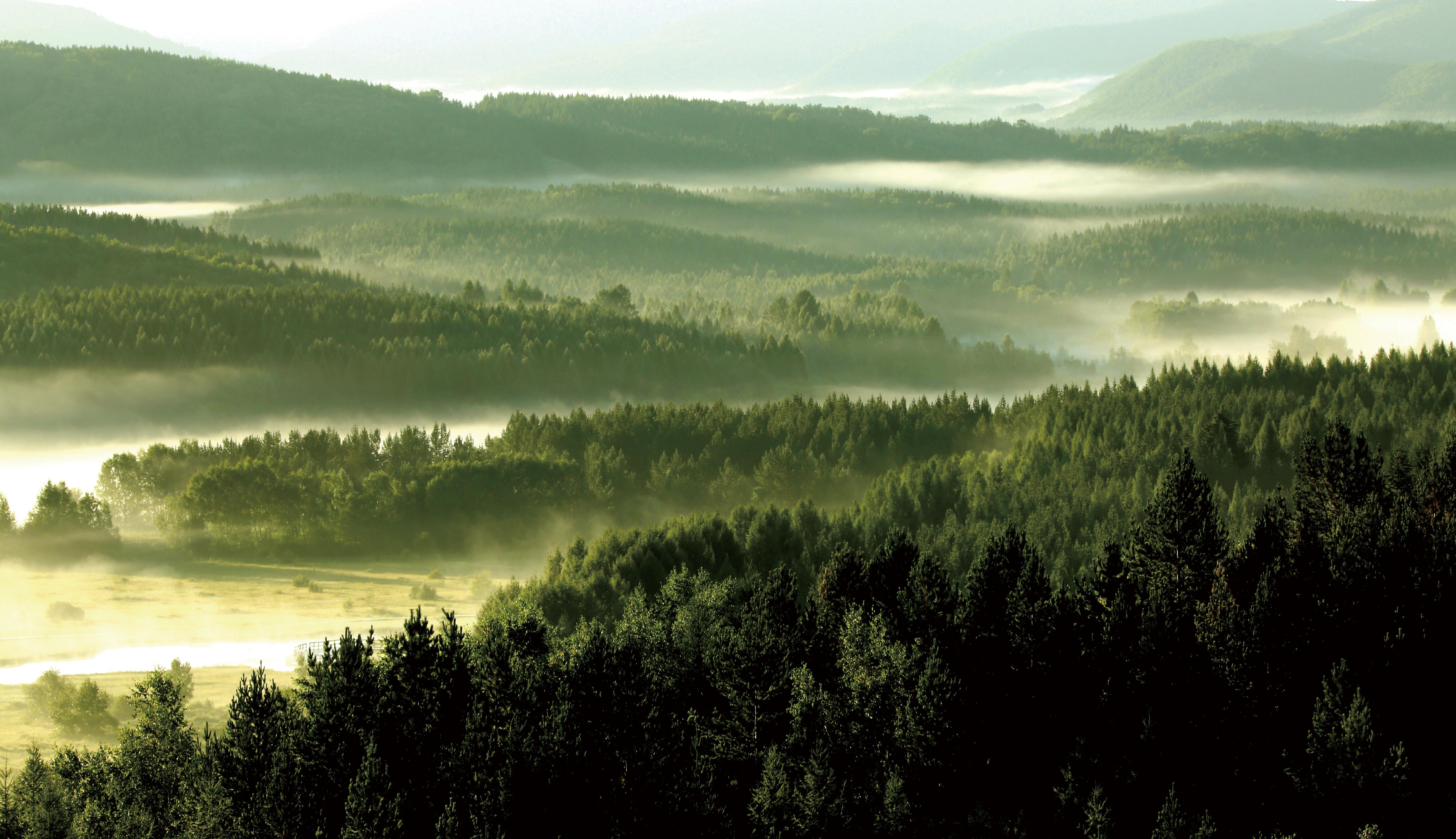 綠水青山帶笑顏丨一棵松繁衍出一片“?！? /></p>
<p>從&ldquo;一棵松&rdquo;到百萬畝人工綠海，塞罕壩每棵樹的年輪里都蘊含著中國生態(tài)文明的發(fā)展進程。</p>
<p style=