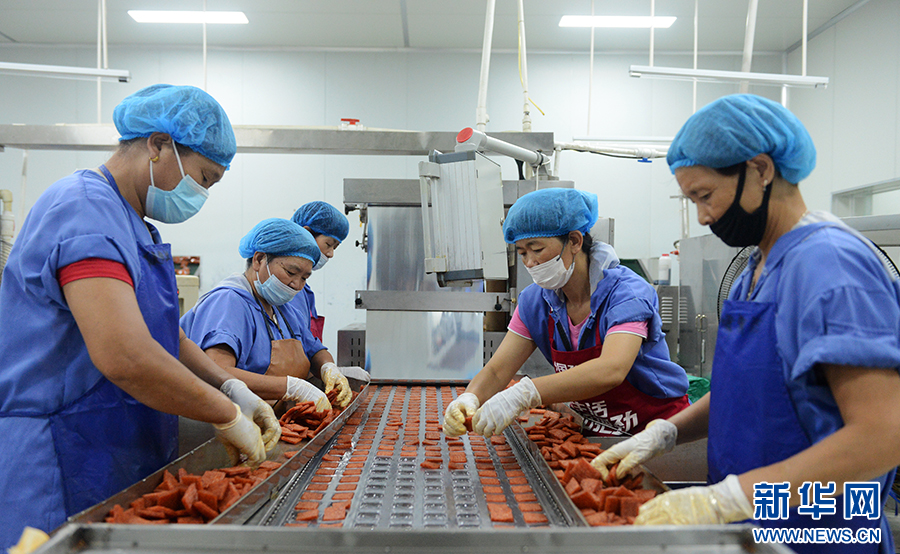 南陽(yáng)市宛城區(qū)：產(chǎn)業(yè)振興促進(jìn)移民村鄉(xiāng)村振興