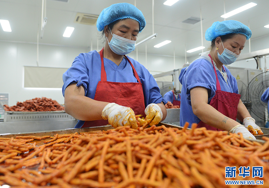 南陽(yáng)市宛城區(qū)：產(chǎn)業(yè)振興促進(jìn)移民村鄉(xiāng)村振興