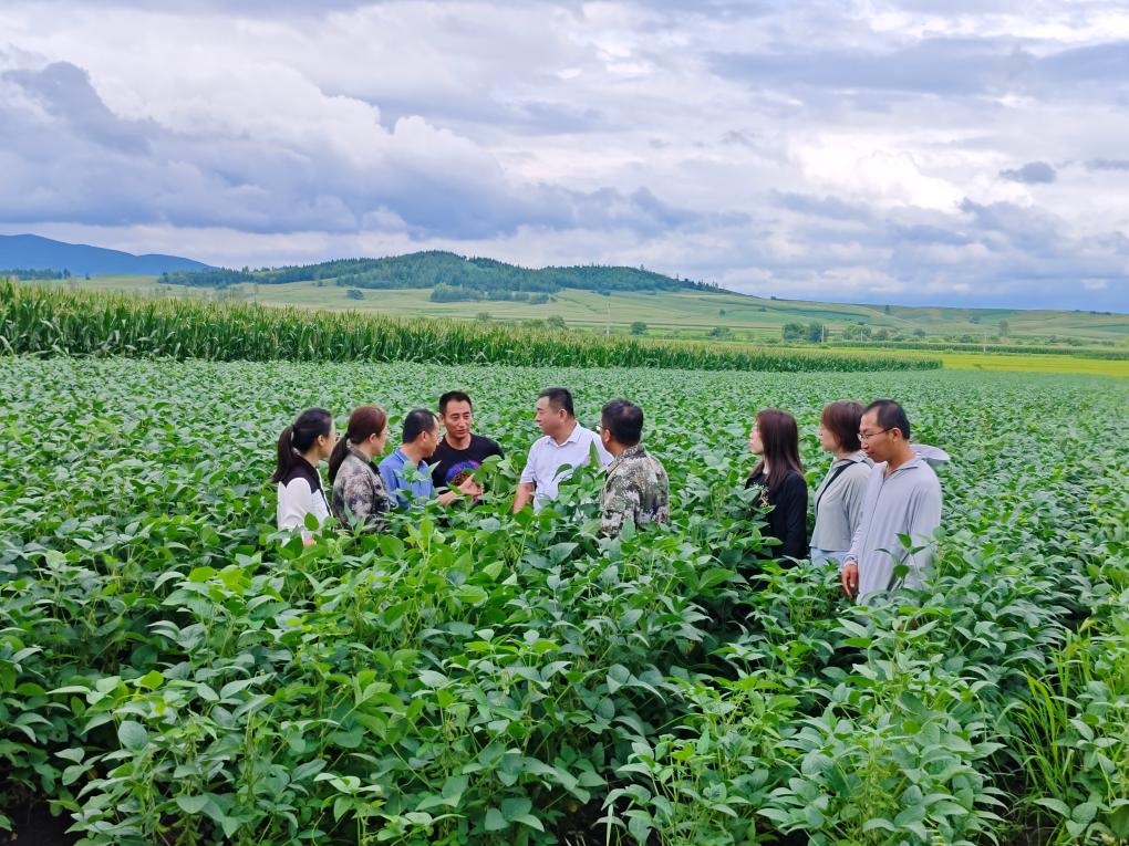 眾志成城 防汛救災|黑龍江:專家下基層 助農(nóng)減損促豐收