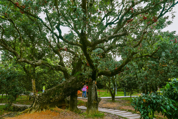 &ldquo;奮躍而上&middot;2023總書記考察年中回望&rdquo;系列報(bào)道之一 牢記總書記囑托 在中國式現(xiàn)代化建設(shè)中走在前列