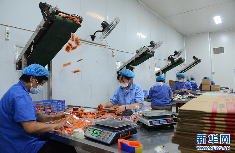 南陽(yáng)市宛城區(qū)：產(chǎn)業(yè)振興促進(jìn)移民村鄉(xiāng)村振興