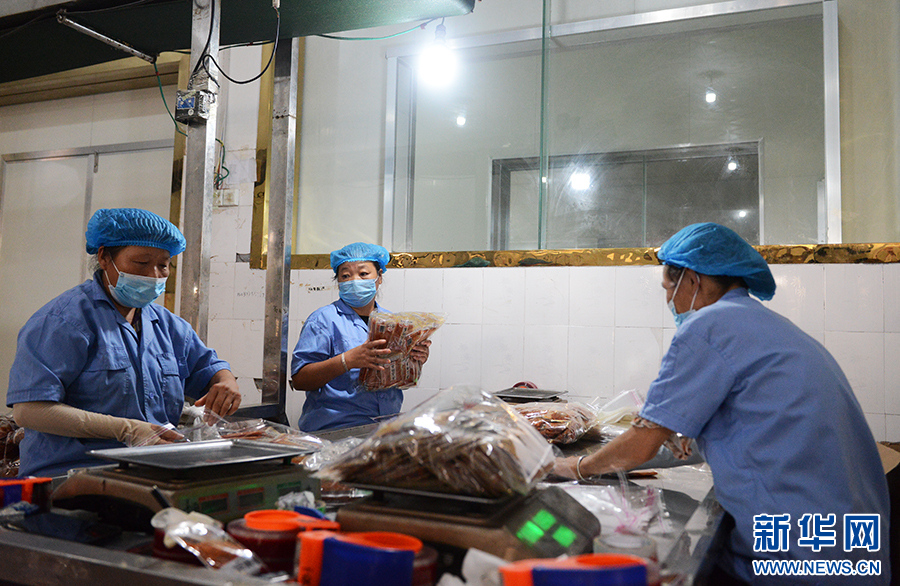 南陽(yáng)市宛城區(qū)：產(chǎn)業(yè)振興促進(jìn)移民村鄉(xiāng)村振興