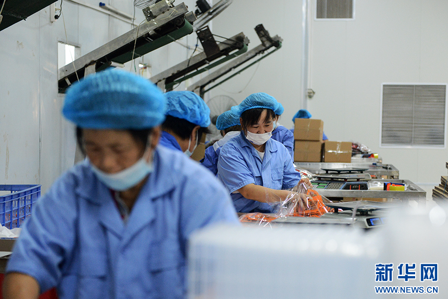 南陽(yáng)市宛城區(qū)：產(chǎn)業(yè)振興促進(jìn)移民村鄉(xiāng)村振興