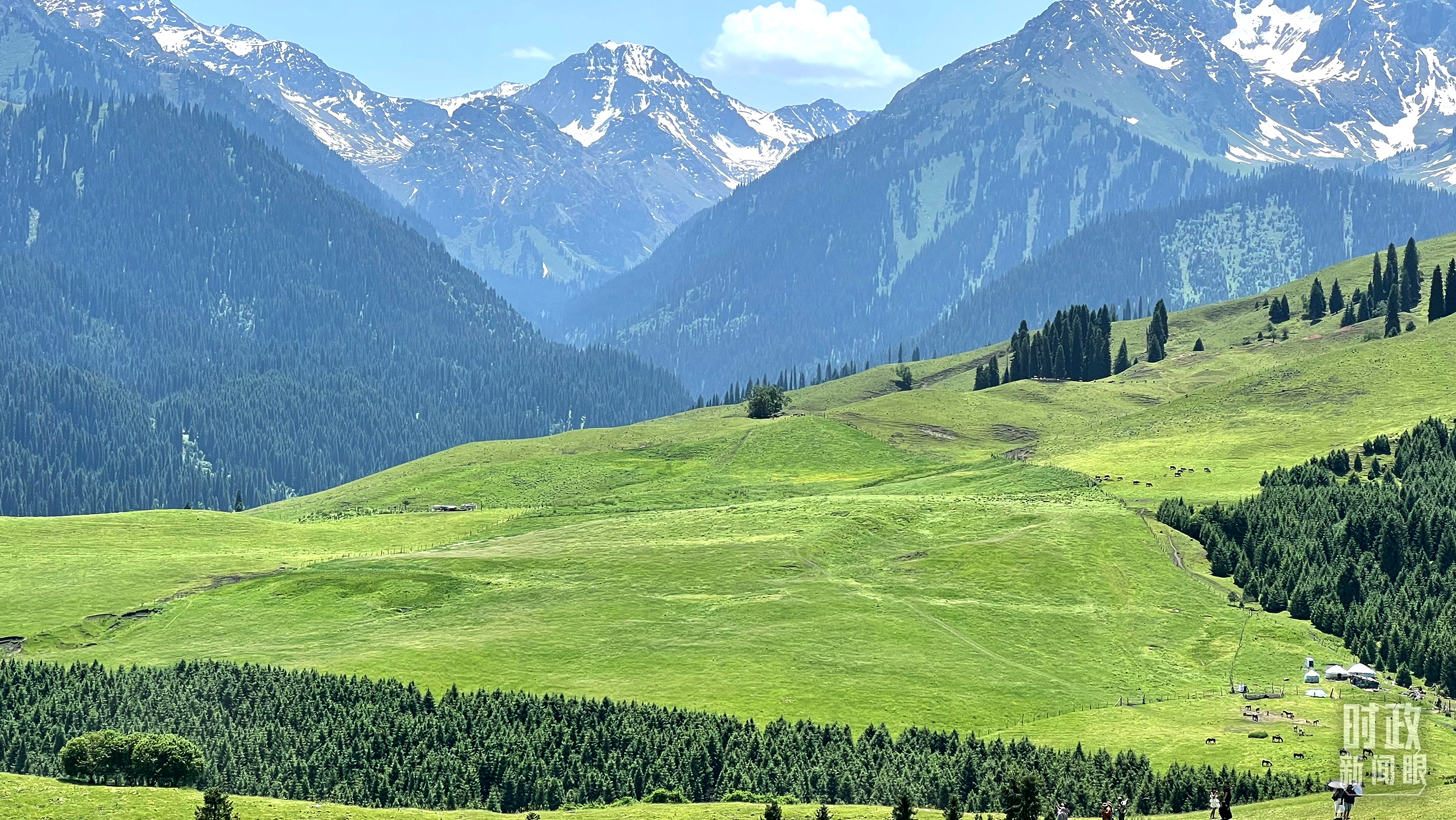 時政新聞眼丨在烏魯木齊專門聽取匯報，習近平對新疆工作作出這些重要部署