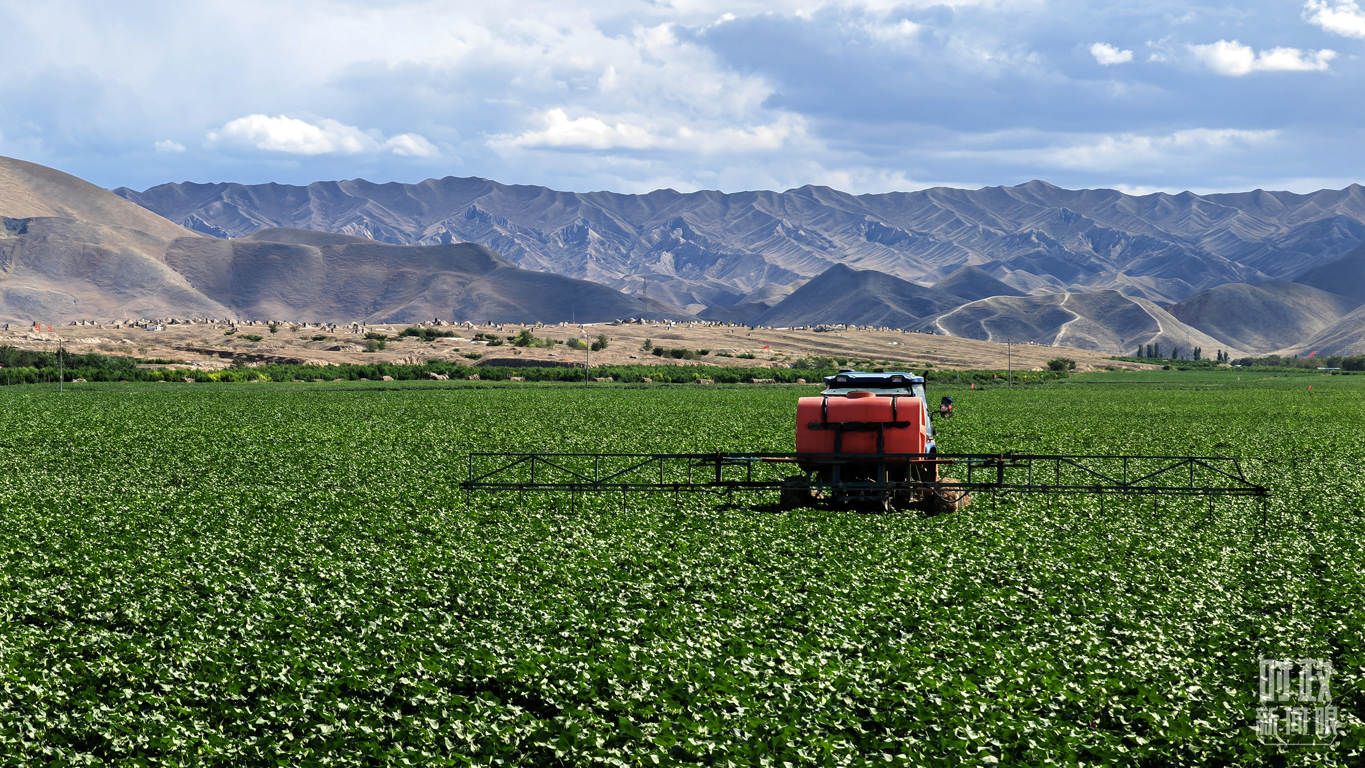 時政新聞眼丨在烏魯木齊專門聽取匯報，習近平對新疆工作作出這些重要部署