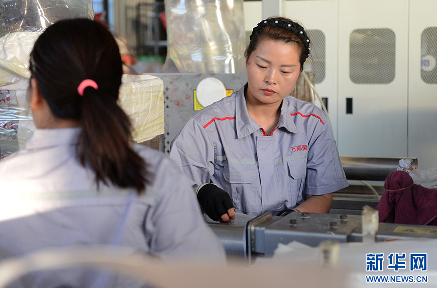 河南魯山:小香菇帶動大產(chǎn)業(yè)