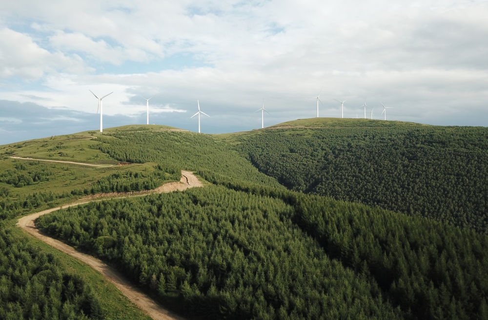 經(jīng)濟(jì)向新 生態(tài)向綠 民生向暖&mdash;&mdash;京冀魯鄂高質(zhì)量發(fā)展一線觀察