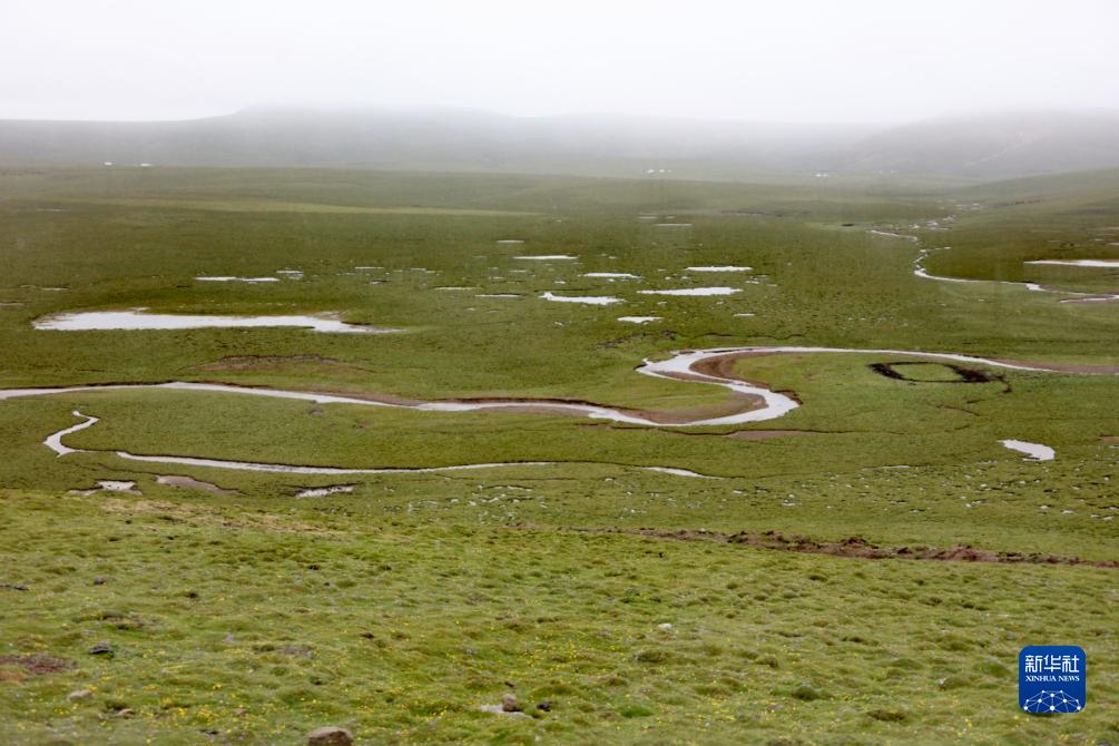 新華視點(diǎn)|氣候變暖給長(zhǎng)江源區(qū)生態(tài)環(huán)境帶來(lái)系列變化