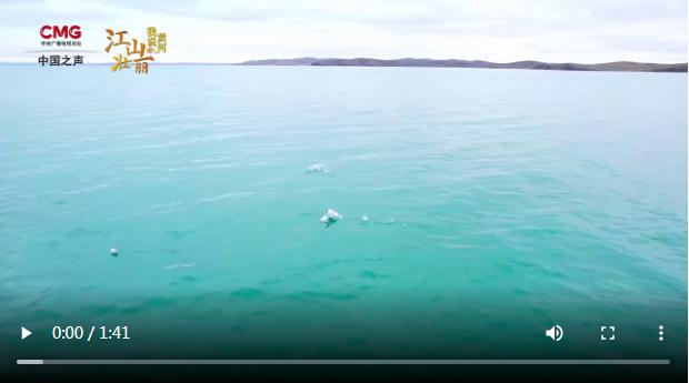 黃河國家文化公園建設(shè)穩(wěn)步推進，如何打造中華文明歷史文化長廊？丨江山壯麗 我說黃河