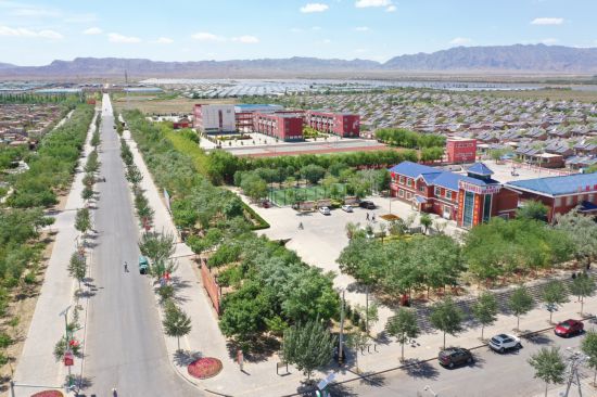 跟著總書記看中國｜&ldquo;拔掉窮根把花栽，美得喲沙漠變花海&rdquo;