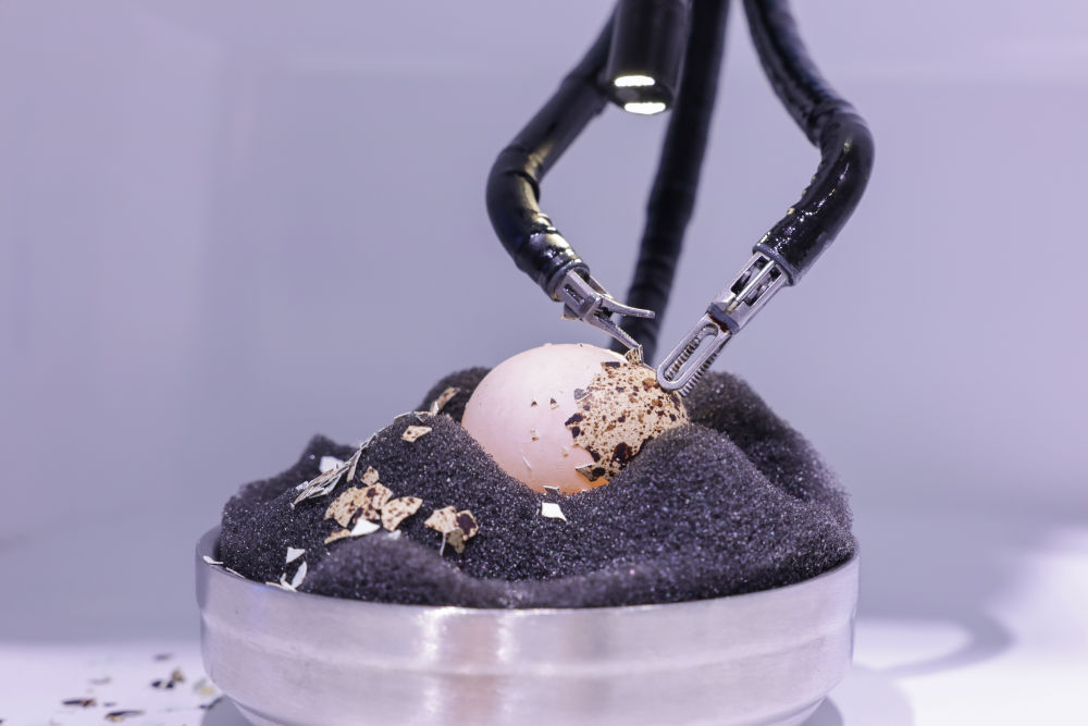 開(kāi)放引領(lǐng)發(fā)展 合作共贏未來(lái)&mdash;&mdash;習(xí)近平主席向2023年中國(guó)國(guó)際服務(wù)貿(mào)易交易會(huì)全球服務(wù)貿(mào)易峰會(huì)的致辭彰顯中國(guó)開(kāi)放合作信心