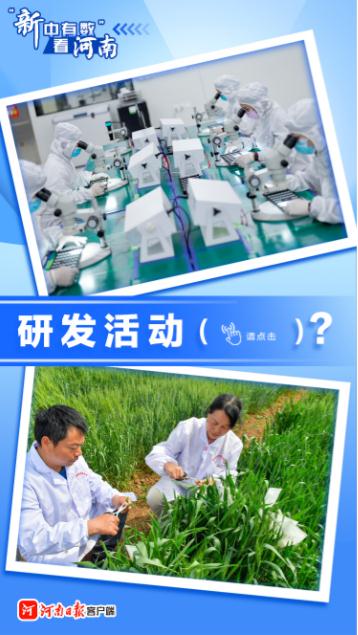 動(dòng)海報(bào)丨&ldquo;新中有數(shù)&rdquo;看河南