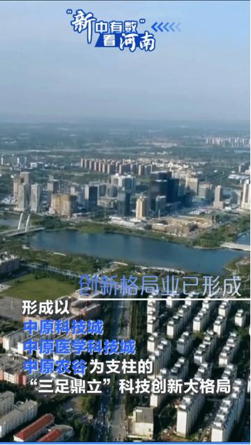 動(dòng)海報(bào)丨&ldquo;新中有數(shù)&rdquo;看河南