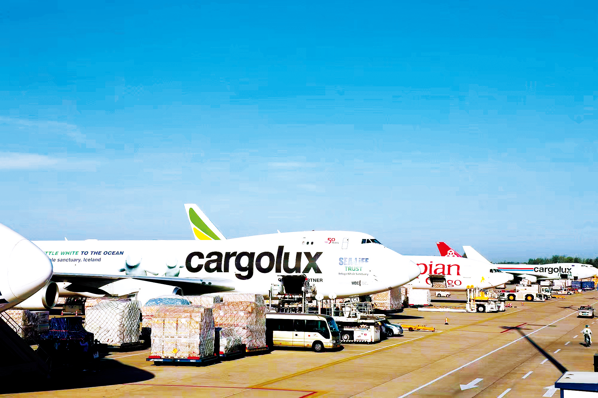 跨國公司看河南：河南有商業(yè)思維，來豫投資有信心！