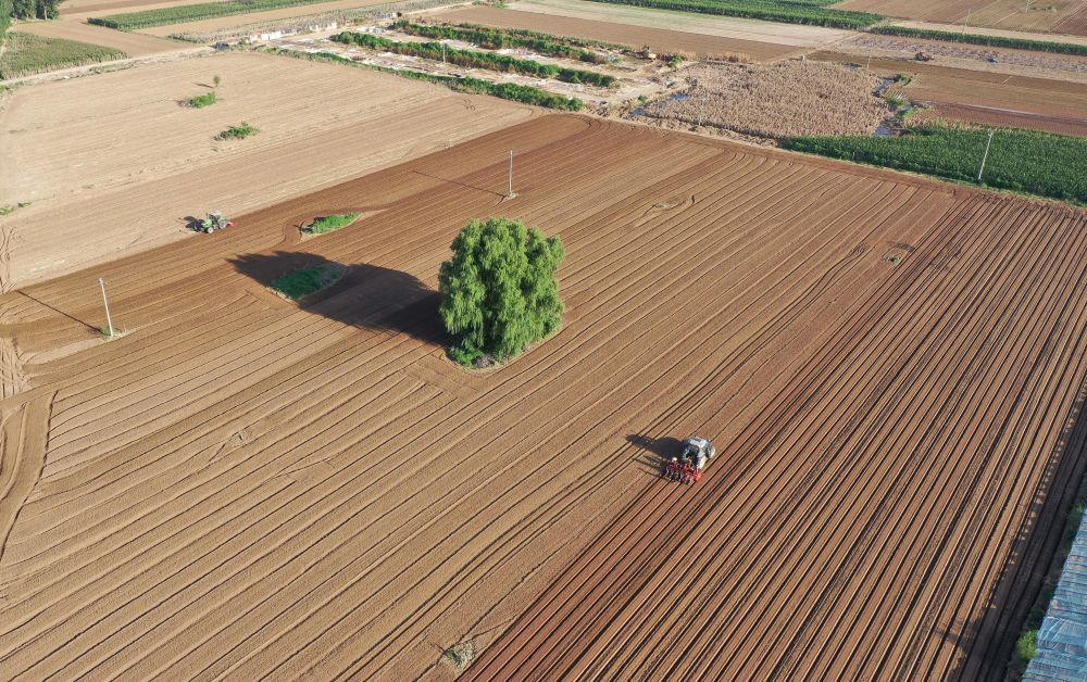 第1視點(diǎn)丨總書(shū)記來(lái)到受災(zāi)群眾中間