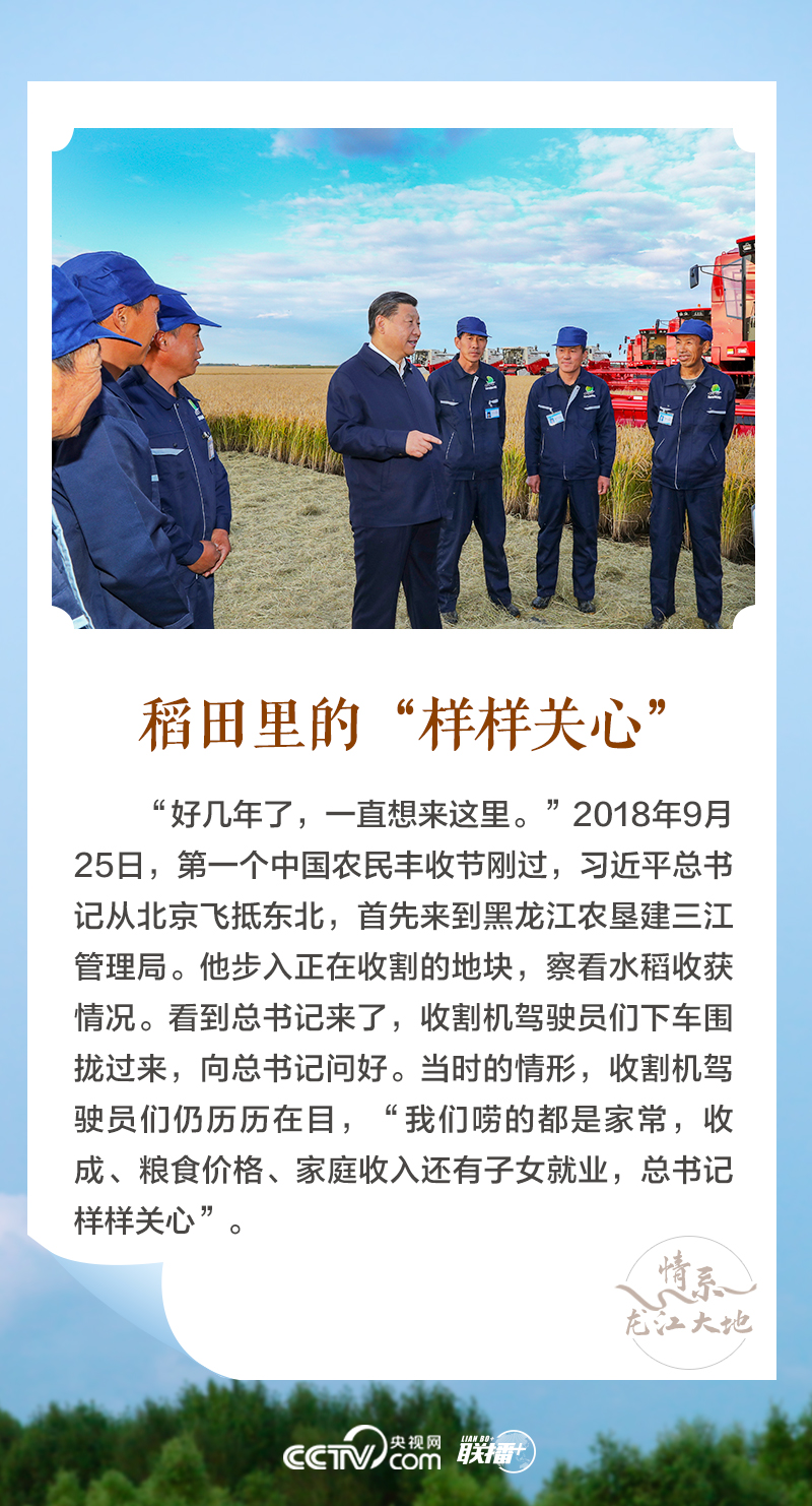 聯(lián)播+|情系龍江大地