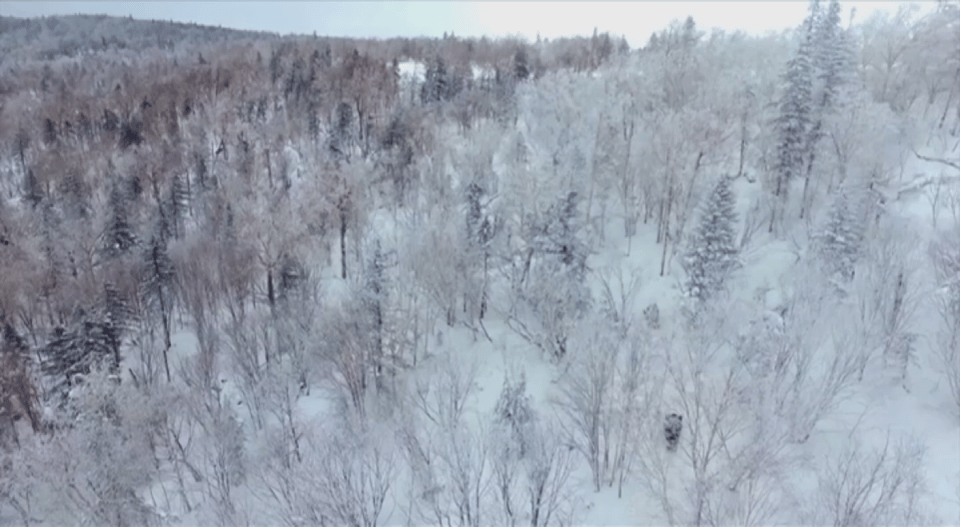 時(shí)政微視頻丨瞰黑龍江