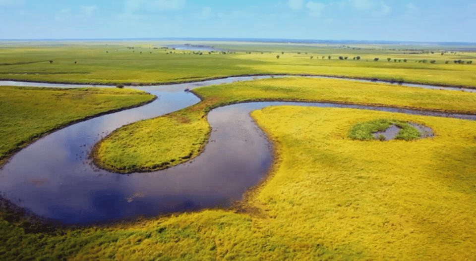 時(shí)政微視頻丨瞰黑龍江