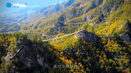 白露|秋風(fēng)起鄉(xiāng)愁濃 中原大地累累秋實(shí)滿枝頭