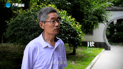 白露|秋風(fēng)起鄉(xiāng)愁濃 中原大地累累秋實(shí)滿枝頭