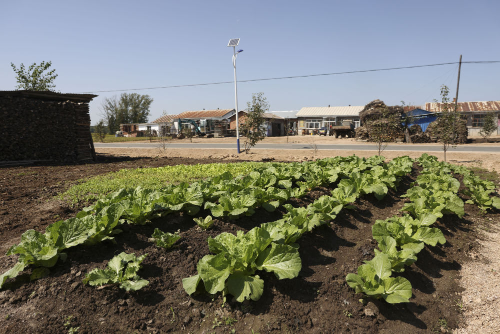 第1視點(diǎn)丨總書(shū)記來(lái)到受災(zāi)群眾中間