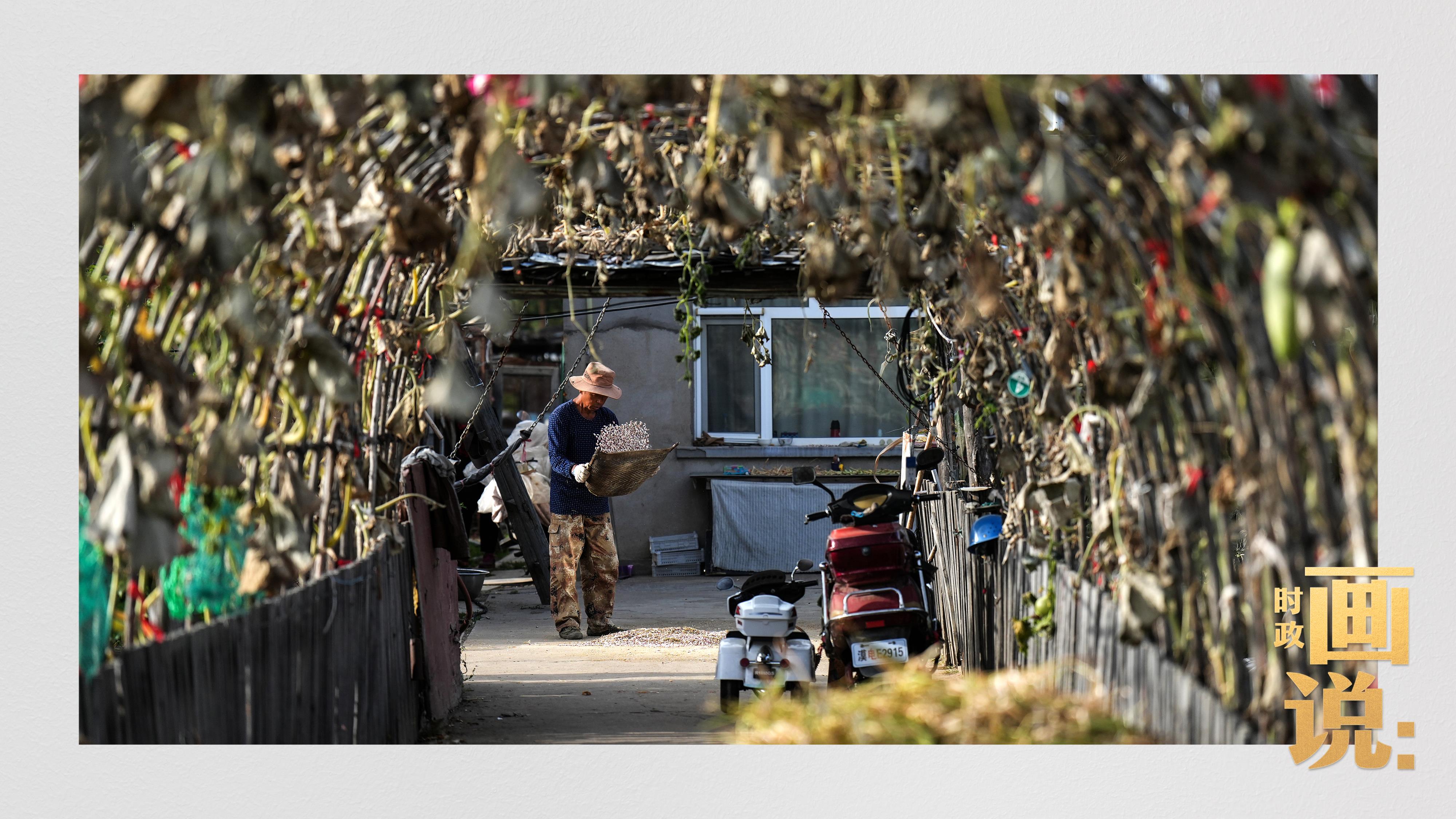 時政畫說丨一路向北