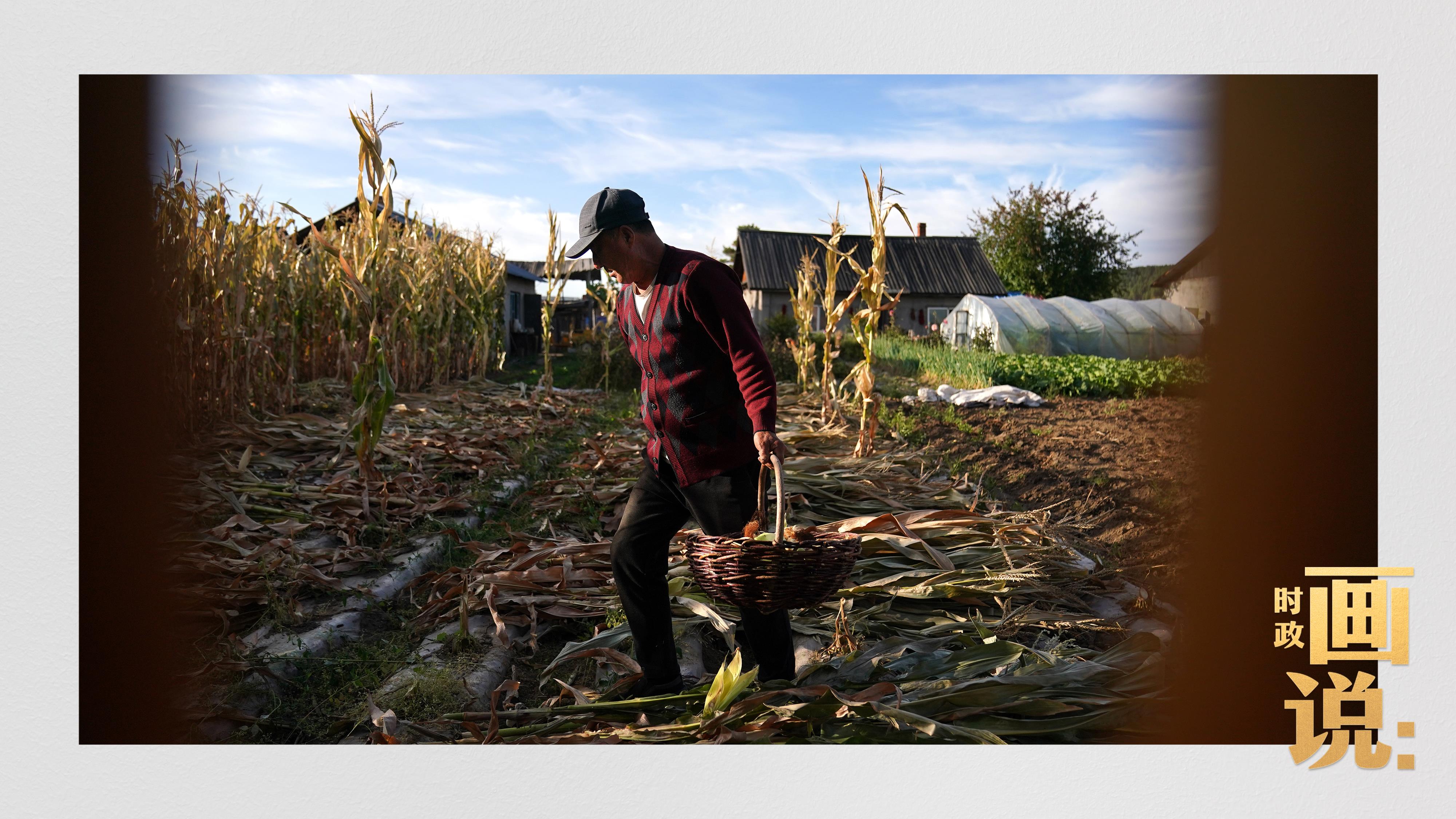 時政畫說丨一路向北