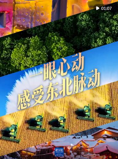 一眼心動，感受東北脈動