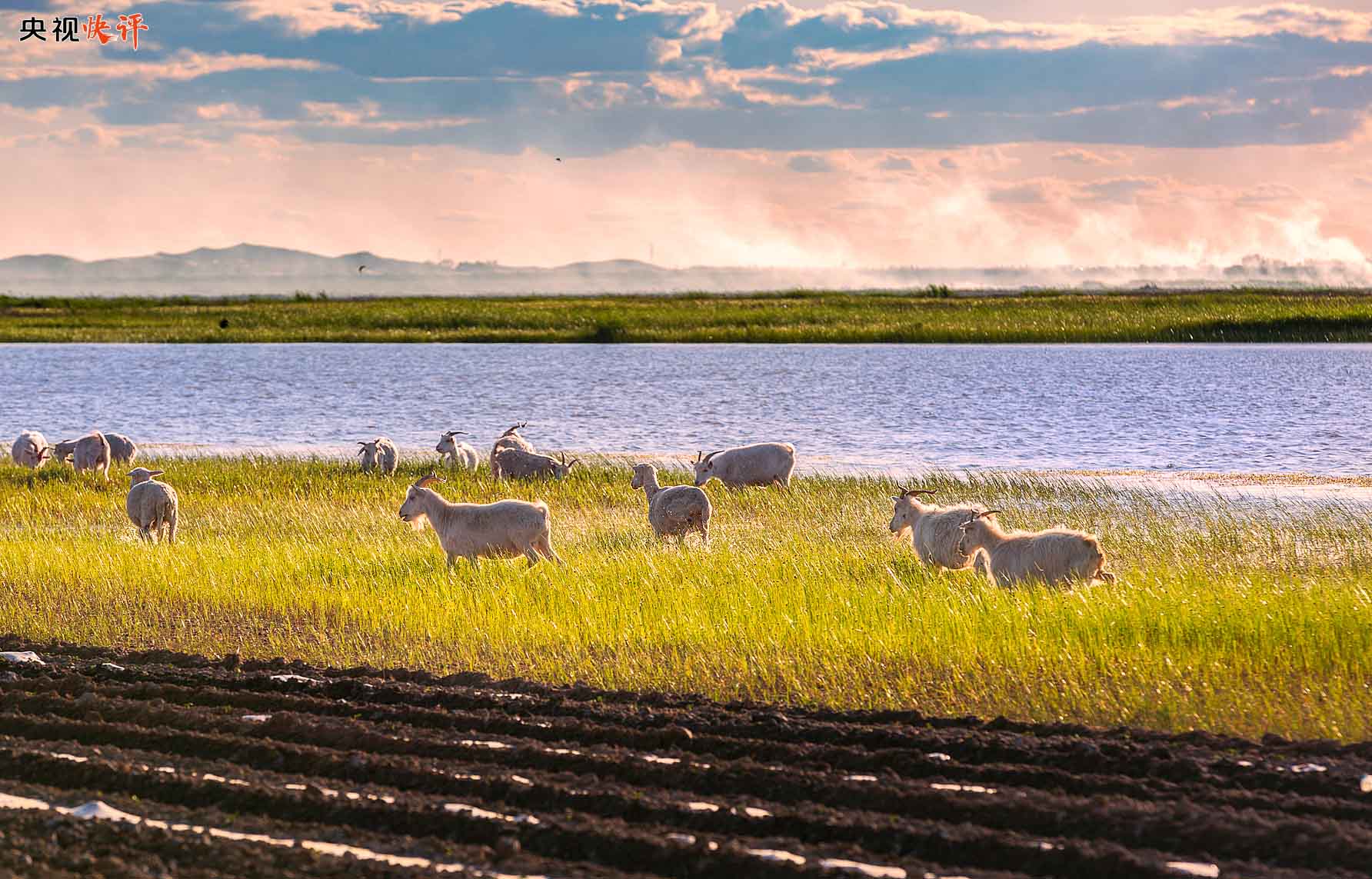 【央視快評】奮力譜寫東北全面振興新篇章