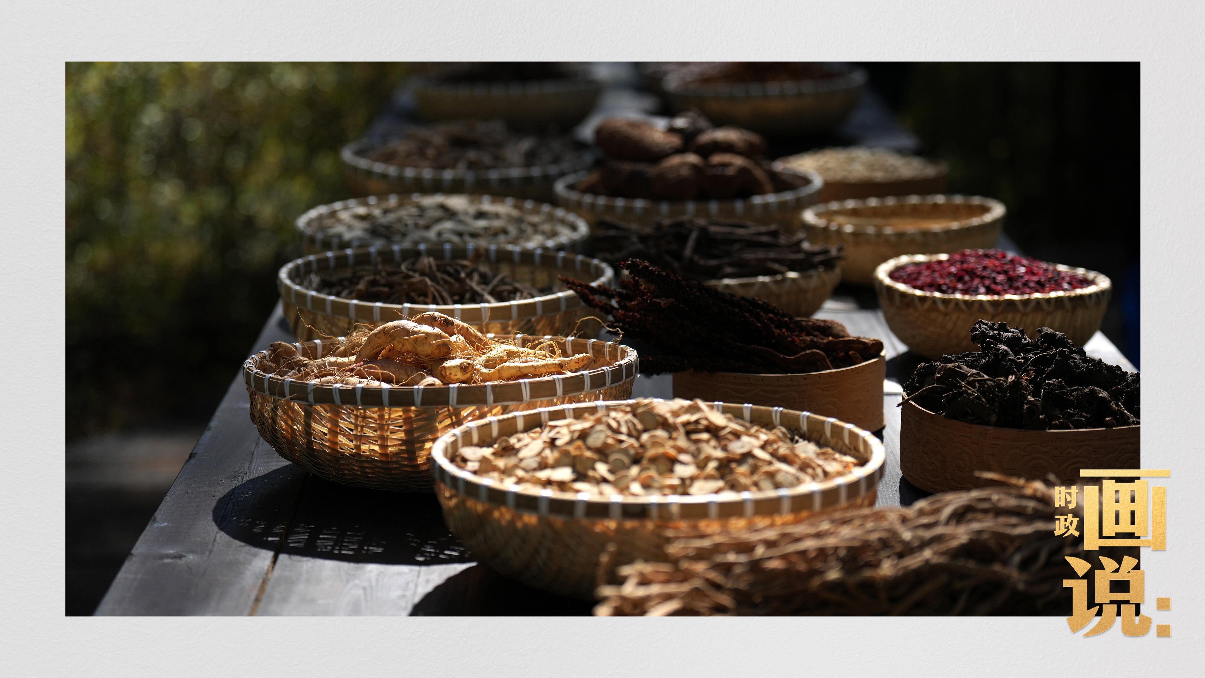 時政畫說丨一路向北