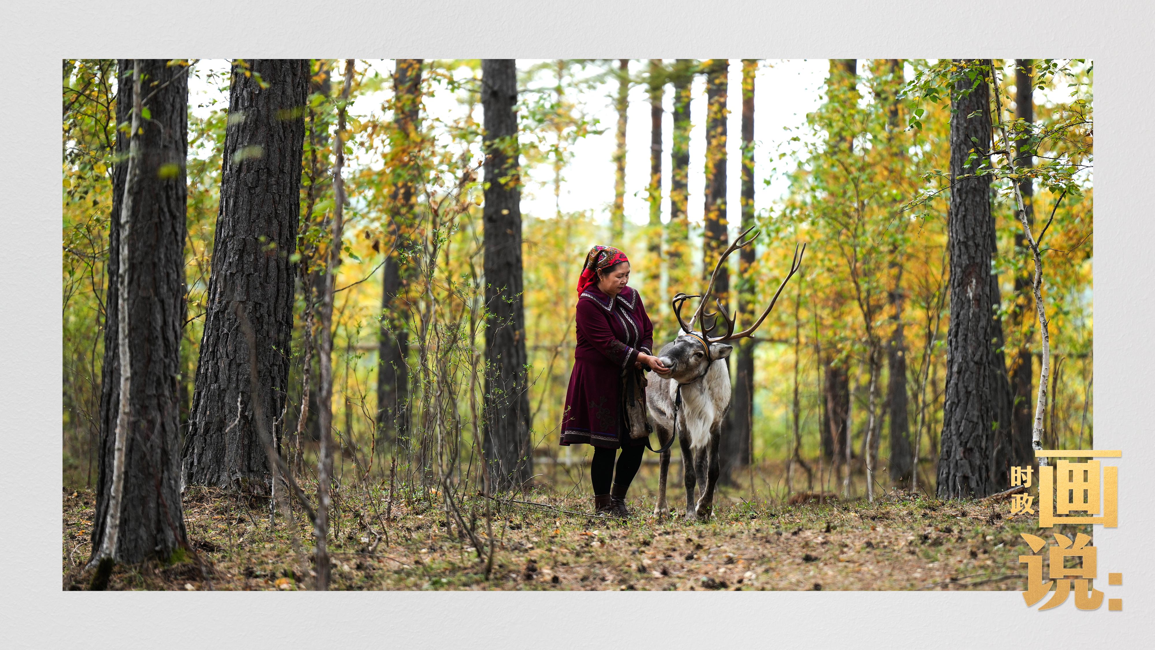 時政畫說丨一路向北