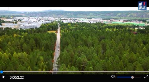 第1視點丨習(xí)近平考察漠河林場自然林區(qū)