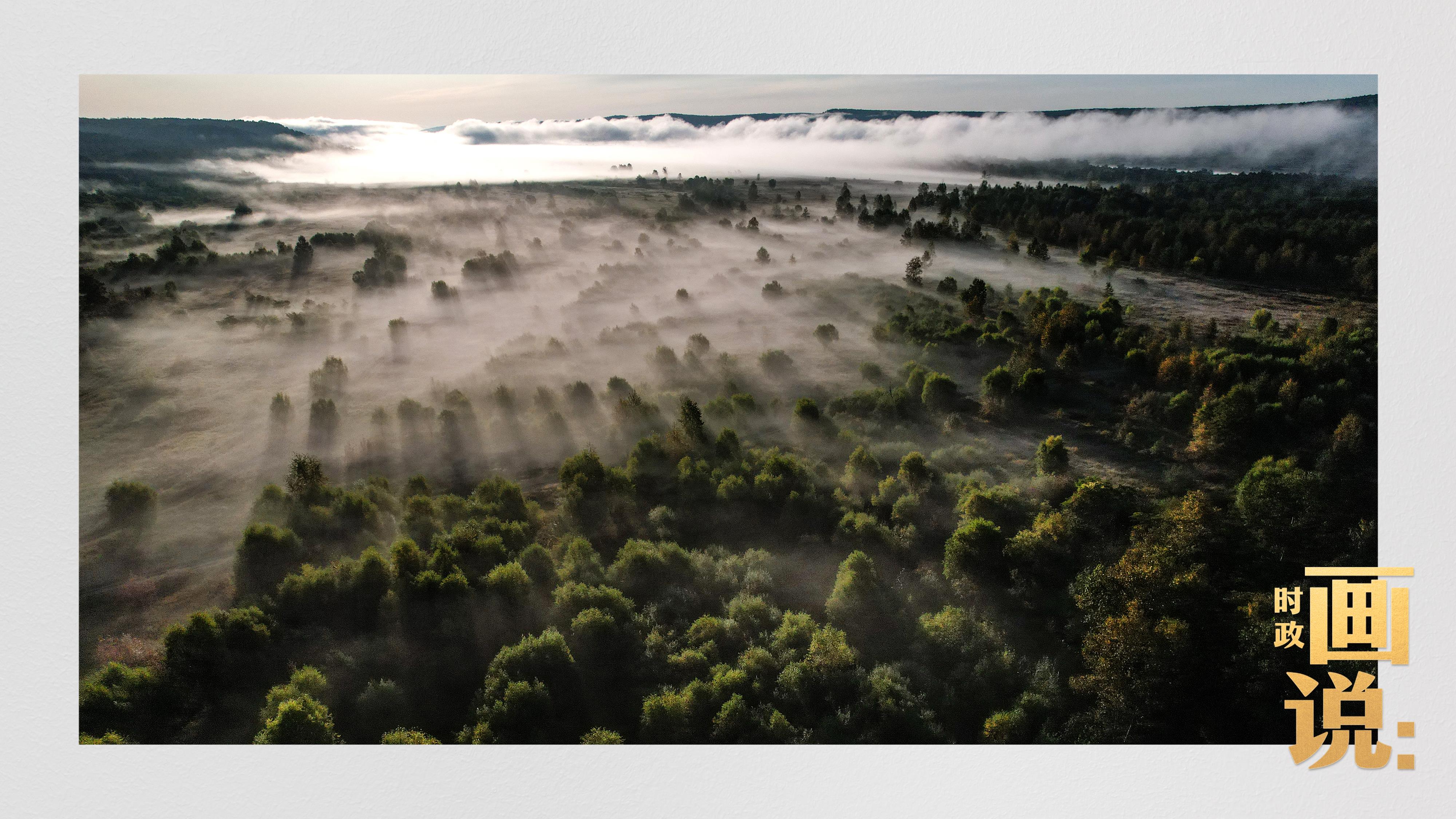 時政畫說丨一路向北