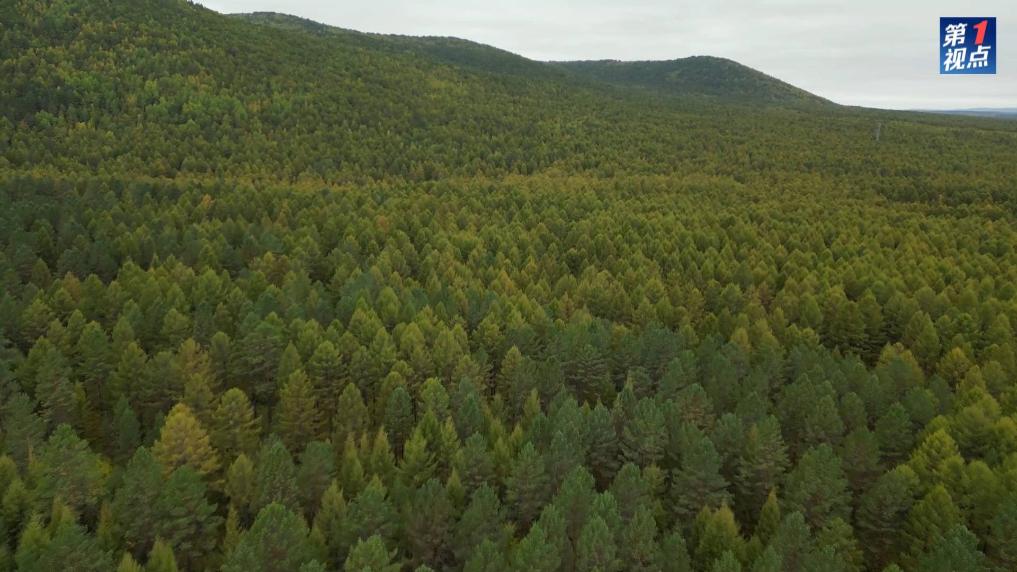 第1視點|情牽龍江大地