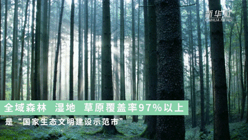 跟著總書(shū)記的考察足跡｜這里是中國(guó)極北之地&mdash;&mdash;漠河