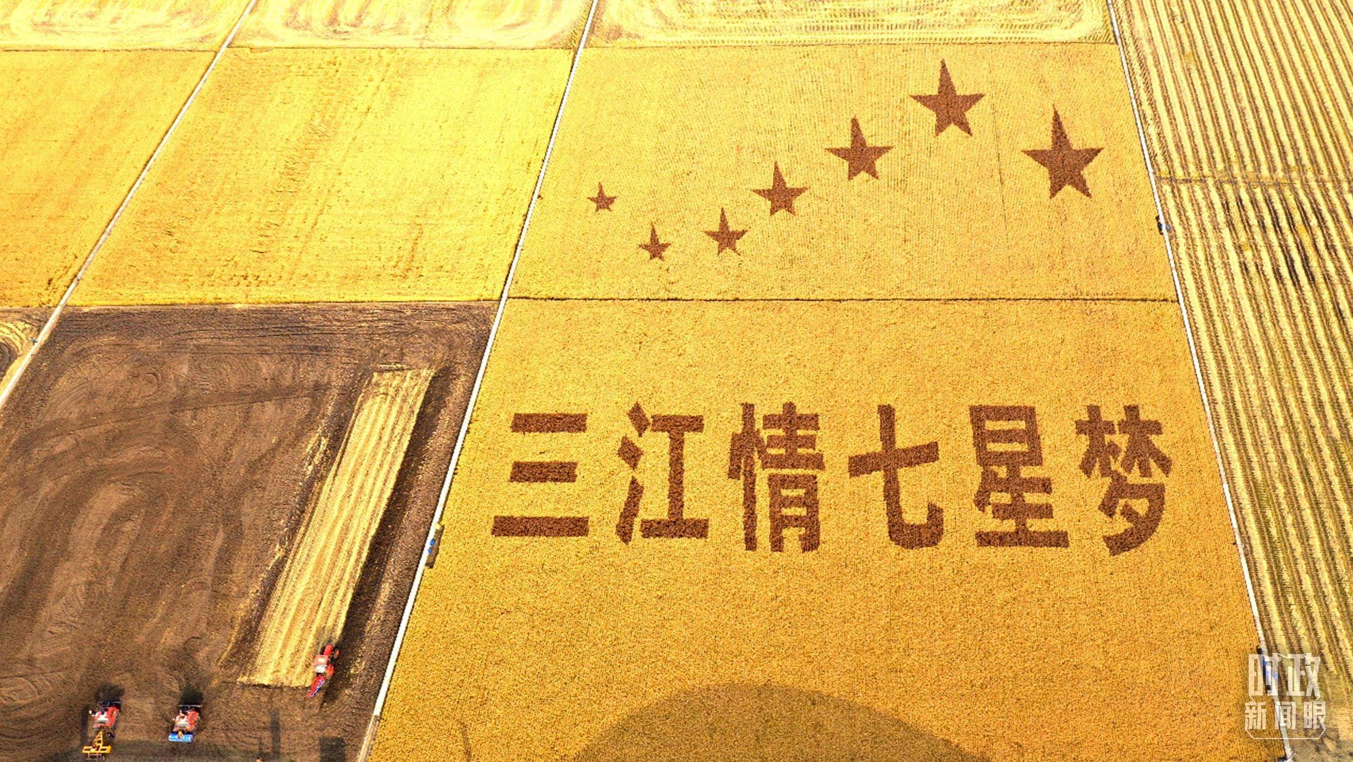 時(shí)政新聞眼丨再開(kāi)東北振興座談會(huì)，這些關(guān)鍵詞引人關(guān)注