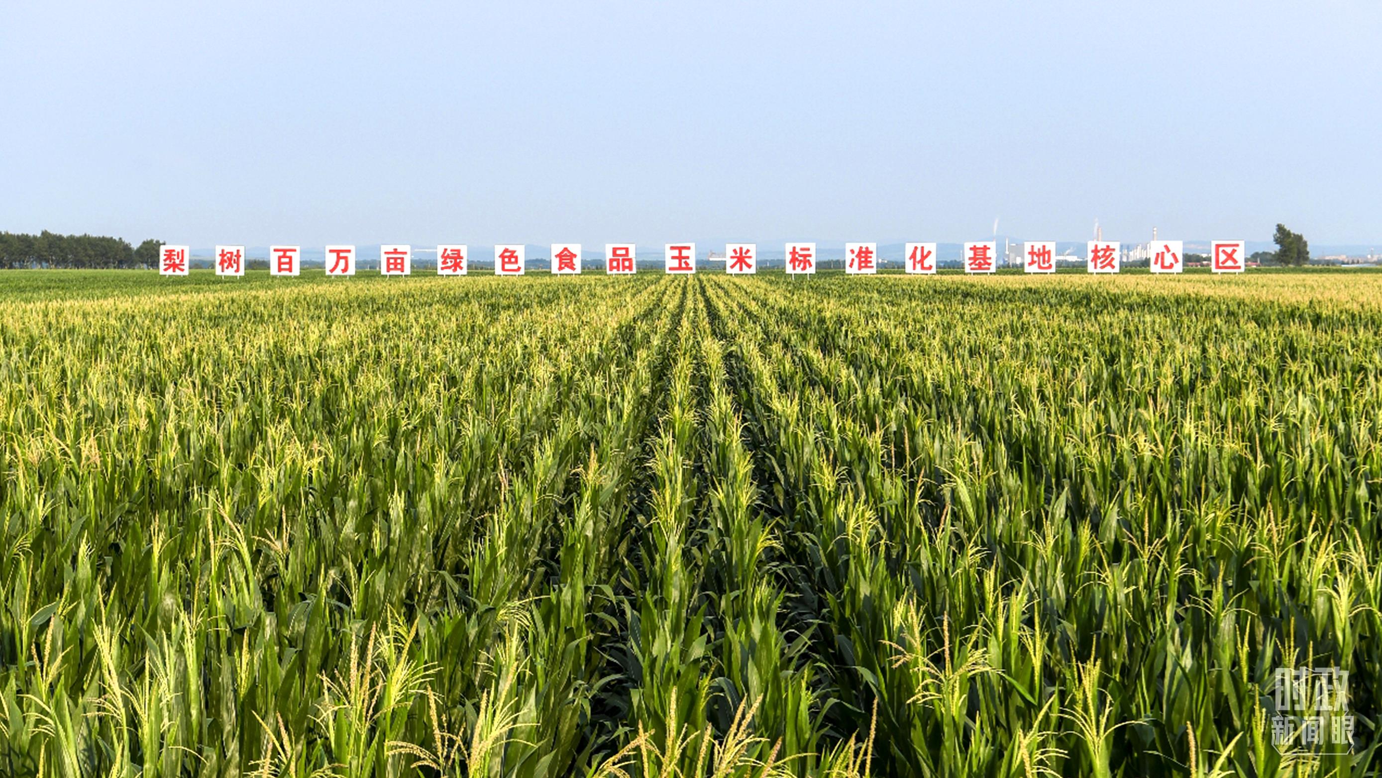 時(shí)政新聞眼丨再開(kāi)東北振興座談會(huì)，這些關(guān)鍵詞引人關(guān)注