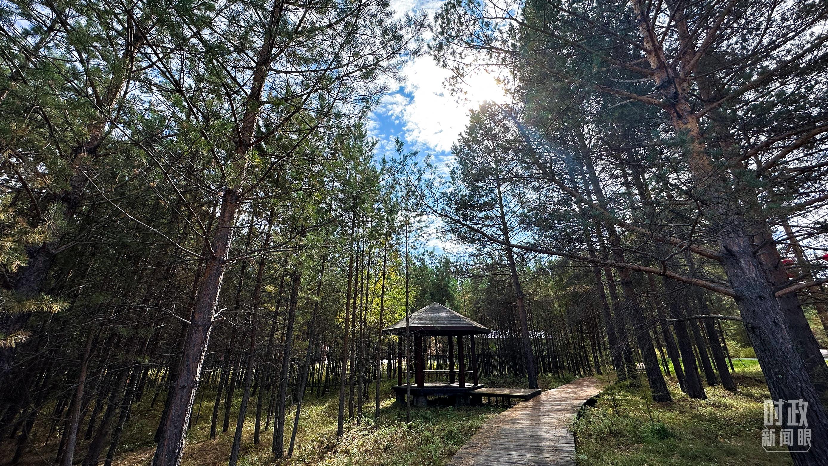 時(shí)政新聞眼丨再開(kāi)東北振興座談會(huì)，這些關(guān)鍵詞引人關(guān)注