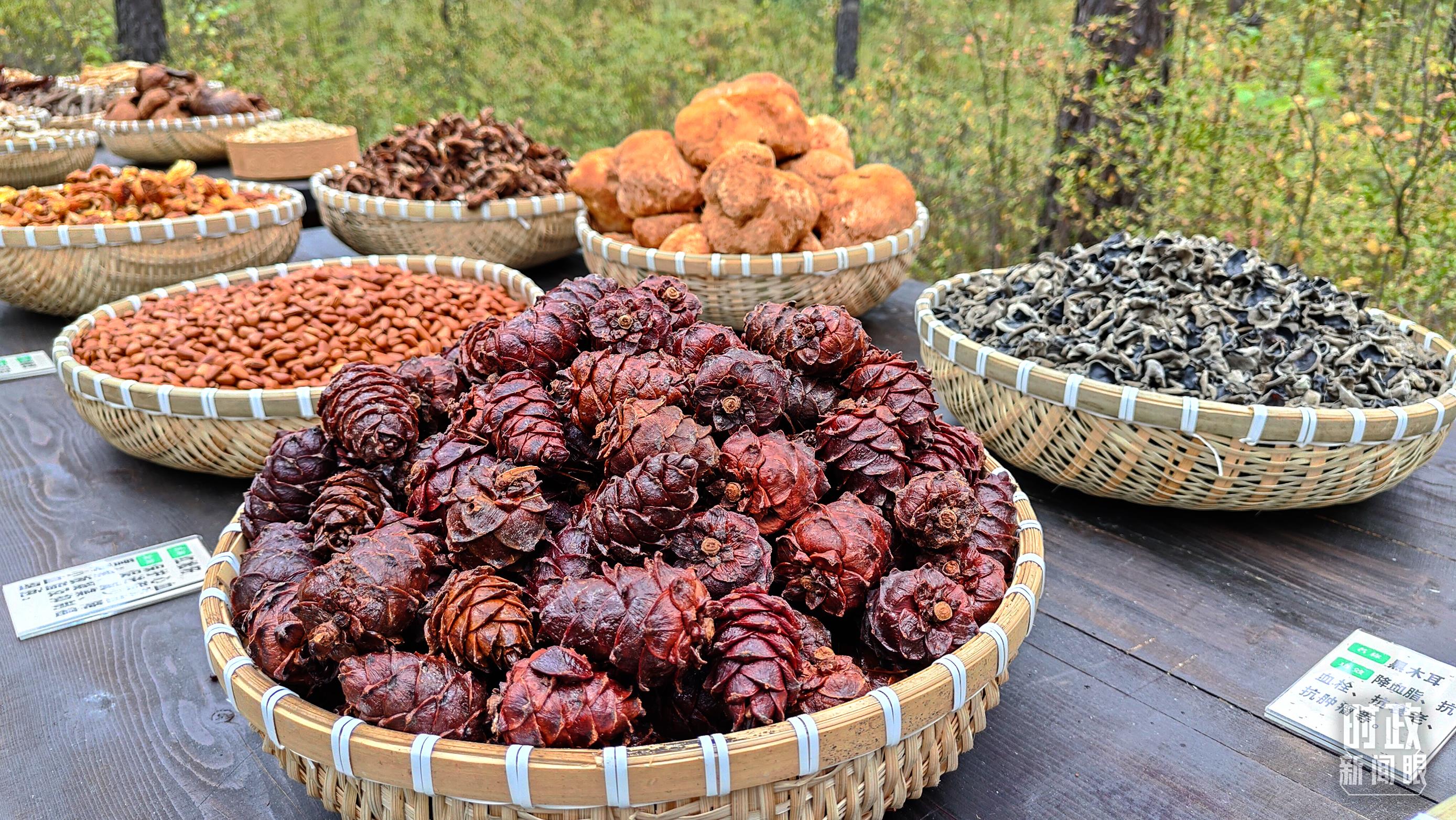 時(shí)政新聞眼丨再開(kāi)東北振興座談會(huì)，這些關(guān)鍵詞引人關(guān)注