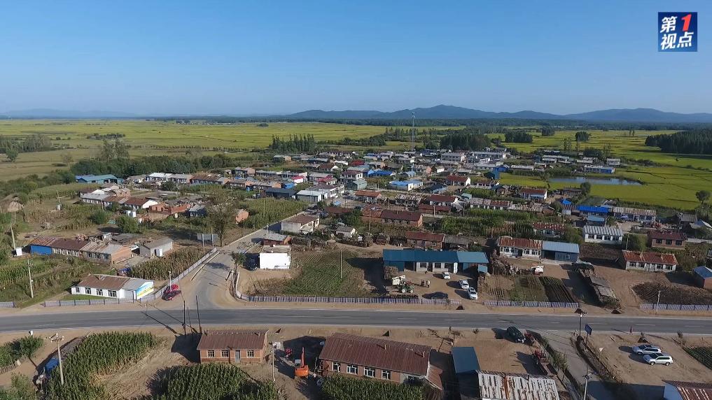 第1視點|情牽龍江大地