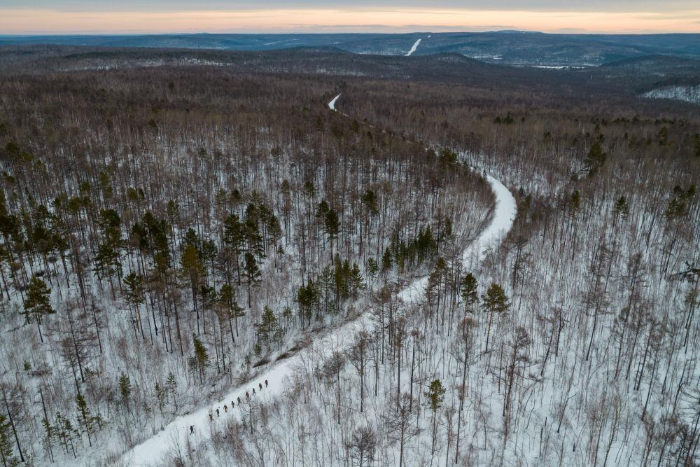 時(shí)政微觀察丨“增綠就是增優(yōu)勢(shì)、護(hù)林就是護(hù)財(cái)富”