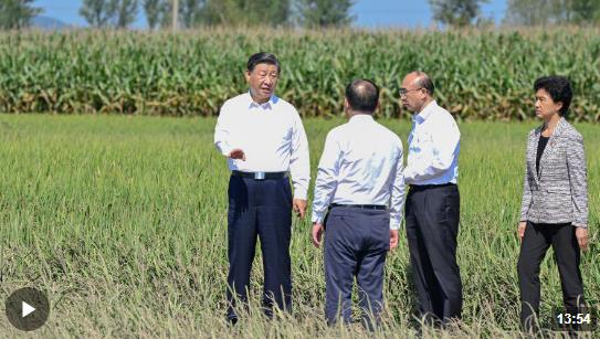 時政新聞眼丨時隔五年再赴黑龍江，習(xí)近平關(guān)心這些事