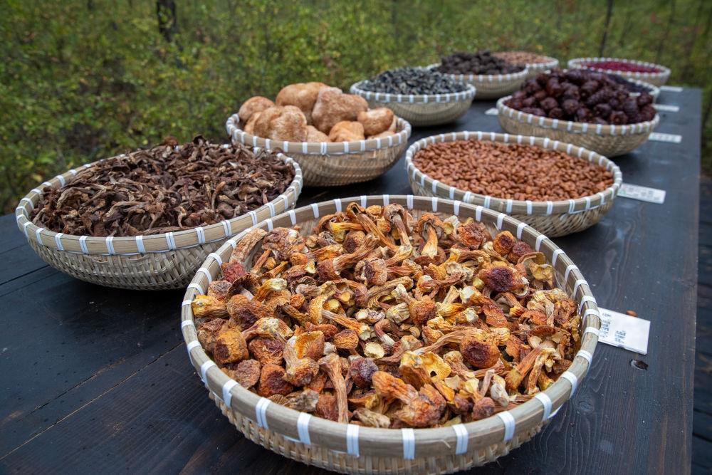 時(shí)政微觀察丨“增綠就是增優(yōu)勢(shì)、護(hù)林就是護(hù)財(cái)富”