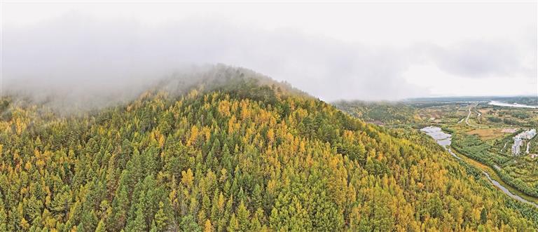 時(shí)政微觀察丨“增綠就是增優(yōu)勢(shì)、護(hù)林就是護(hù)財(cái)富”