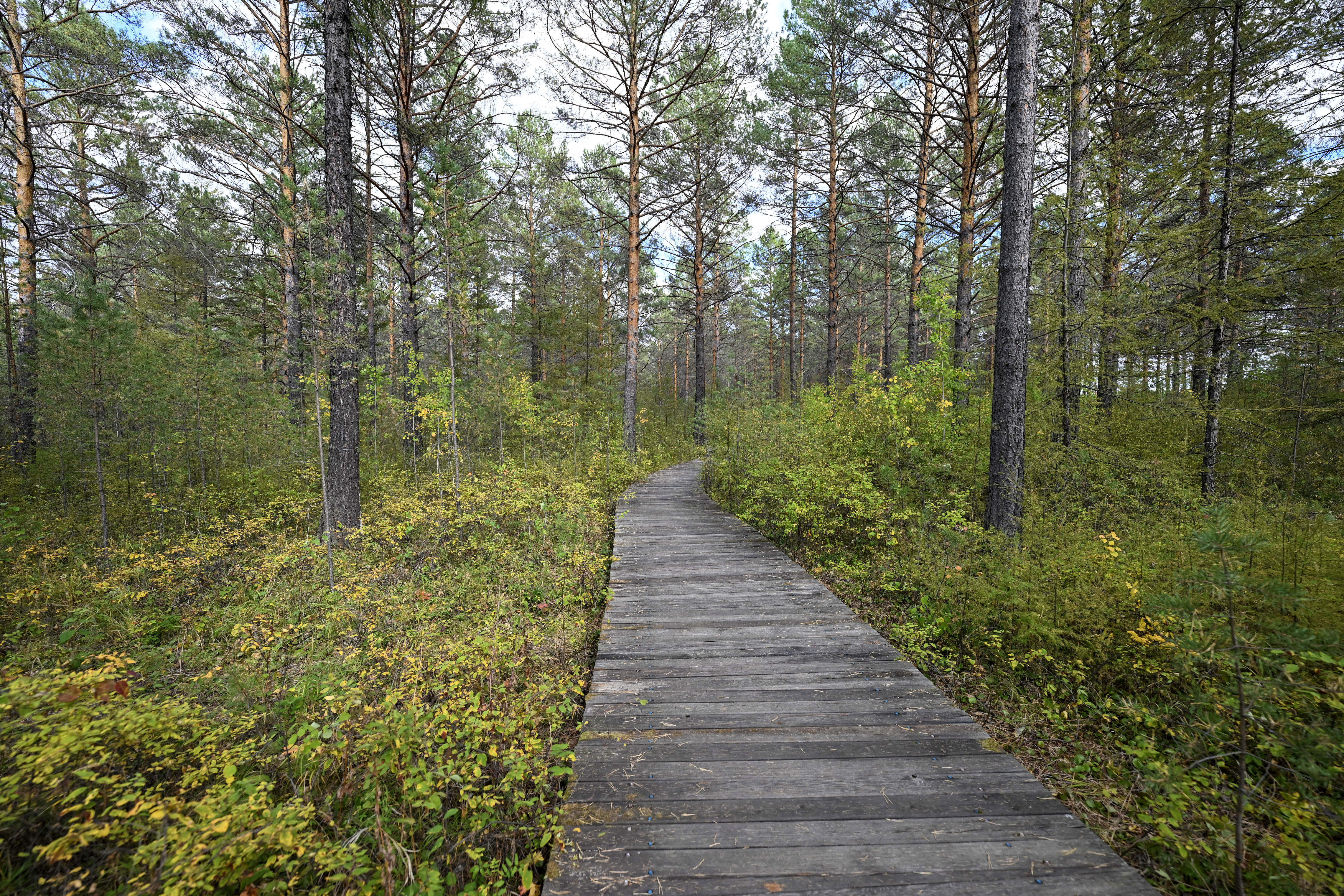 潮頭觀瀾 | &ldquo;數(shù)&rdquo;說東北振興5年間