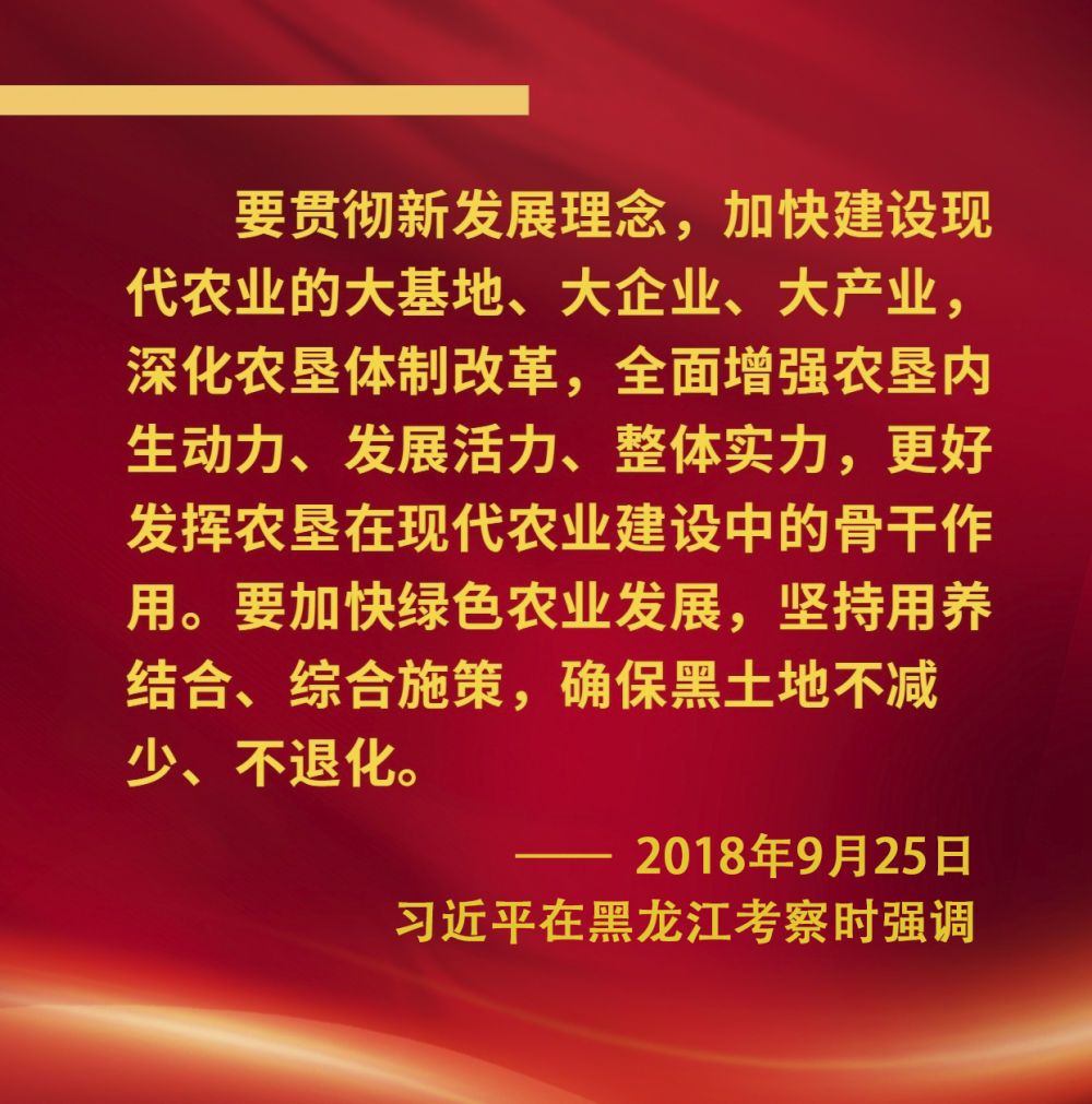 鏡觀&middot;領(lǐng)航｜奮力譜寫(xiě)東北全面振興新篇章