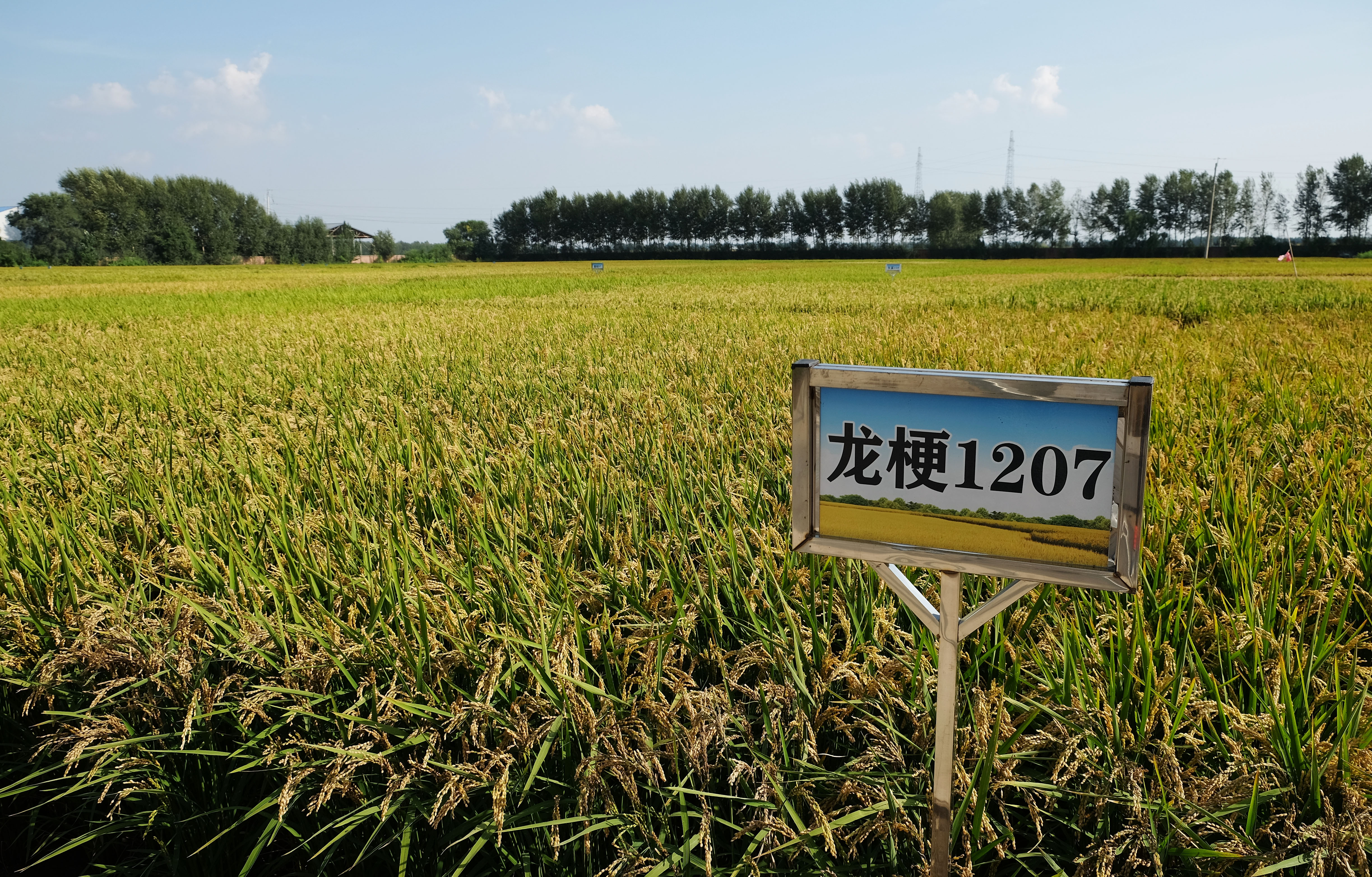 潮頭觀瀾 | &ldquo;數(shù)&rdquo;說東北振興5年間