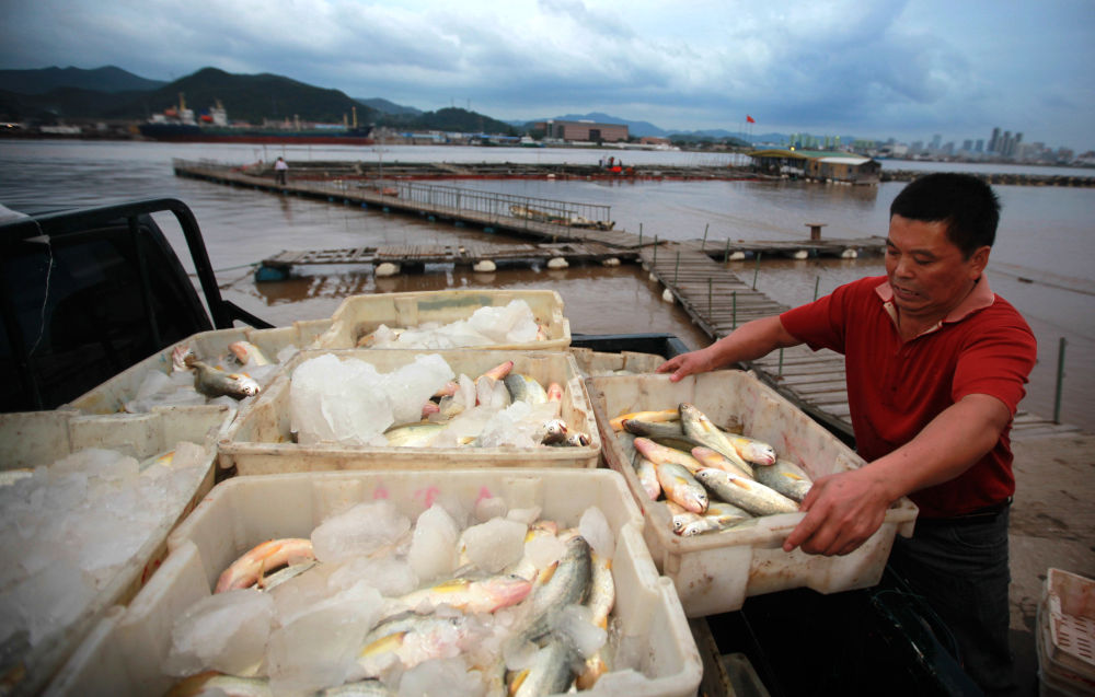 杭州亞運會｜火炬?zhèn)鬟f看“浙”里：舟山