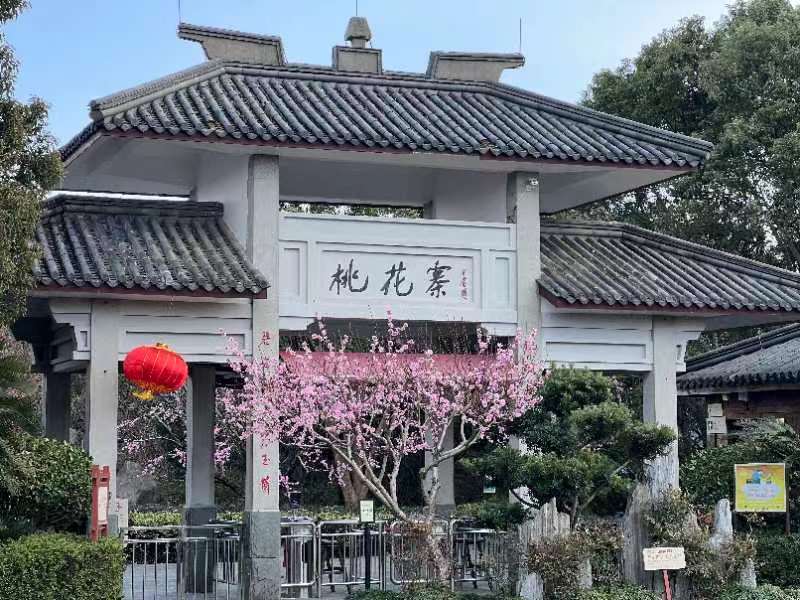 杭州亞運會｜火炬?zhèn)鬟f看“浙”里：舟山